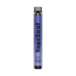 BLUEBERRY