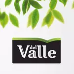 DEL VALLE MARACUJA LATA 290ML