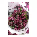 Flores Atromelias