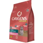 ORIGENS GATOS CASTRADO SALMÃO