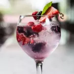 Gin tonic frutos rojos