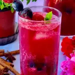 Limonada De Frutos Vermelhos 450ml