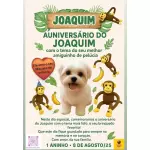 Display Foto Pet personalizado