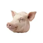 Cabeza de cerdo (10 a 15lb)