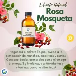 EXTRACTO HG ROSA MOSQUETA
