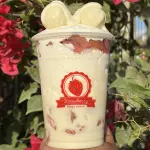 Strawberry burbuja blanca 16 onz