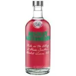 ABSOLUT 1L WATERMELON