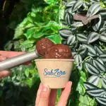 CHOCOLATE BLACK -ZERO AÇÚCAR /LAC