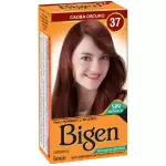 Bigen Matices 37 Caoba Oscuro