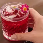COLD BREW DE HIBISCO
