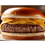 X - BURGUER