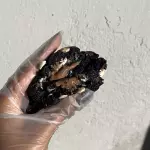Cookie Alpino