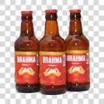 Brahma cracudinha