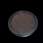 FEIJÃO  PRETO (300g)