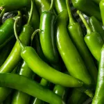Chiles Serranos in Natura (fresco)