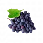 UVA  SEM SEMENTE 500G
