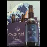 Ocean Lab Blueberry Ale