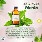 EXTRACTO HG MENTA