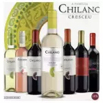 VINHO CHILANO