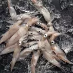 Chopitos