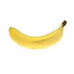 Banana Export Bulk Kg