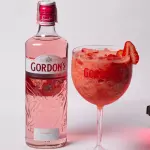GIN DE MORANGO