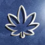 Hoja de Cañamo (Sil)