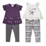 Conjunto Llama