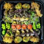 VEGETARIANO