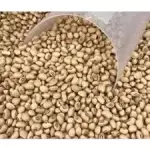 Feijão de Corda - 1Kg