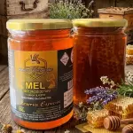 MEL COM PEDAÇO DE FAVO