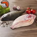 TAMBAQUI INTEIRO S/ ESPINHAS