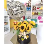 Box Girasol