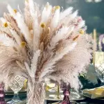 Pampas Mix