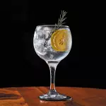 Gin Tônica