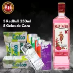 Combo Beefeater Pink com RedBull