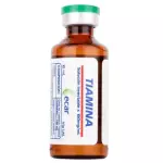 TIAMINA 100MG I.M. 10ML AMPOLLA