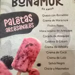 Paleta artesanal bonamur