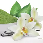 Matcha Vainilla Caliente