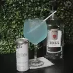 Gin Red Bull Nacional 🍹