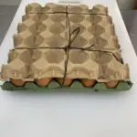 HUEVOS x30