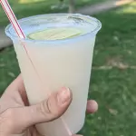 Limonadas natural