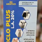 Ciclo plus L.A 20%