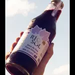 SUCO DE UVA TINTO 1L