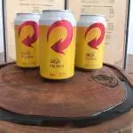 CERVEJA SKOL