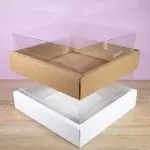 Caja con Tapa de Acetato (L) #0581