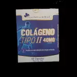 Colágeno Tipo 2 Blister