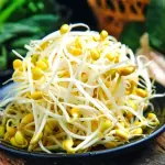 FRIJOL NACIDO 豆芽菜