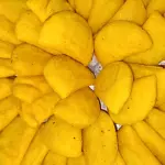 Empanadas Congeladas