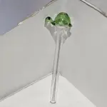 Piteira Tartaruga